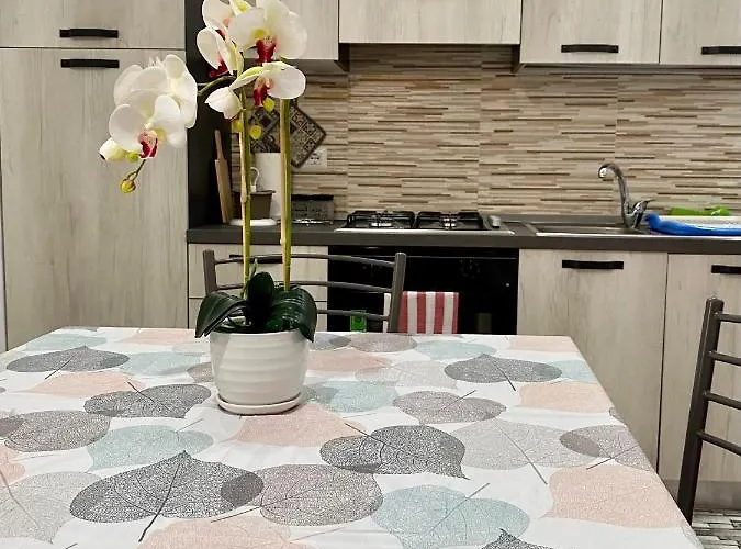 Casa Filomena 维博瓦伦蒂亚